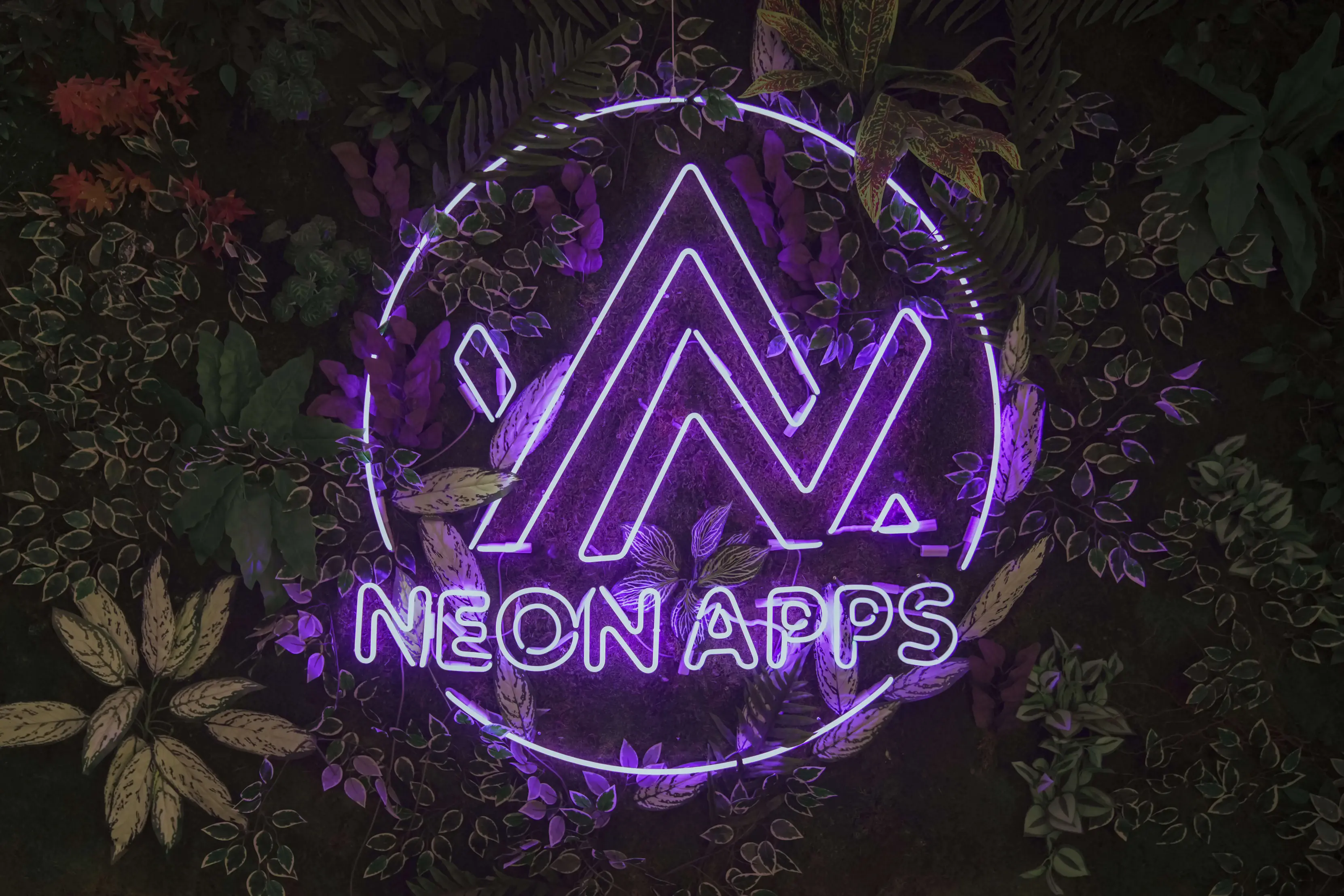 Tech-driven creative culture at the Neon Apps office