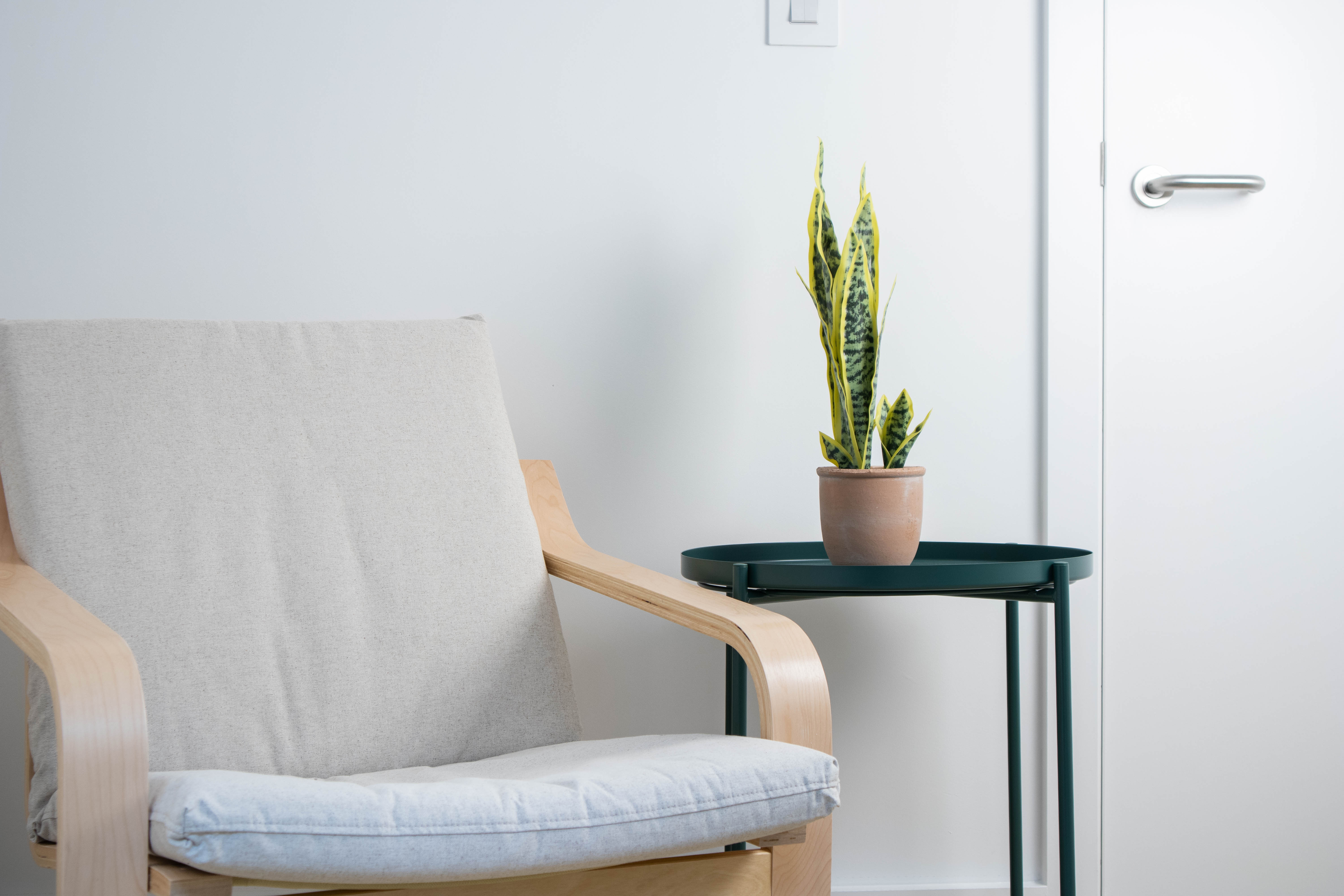 Bright white reading chair with plant on a table