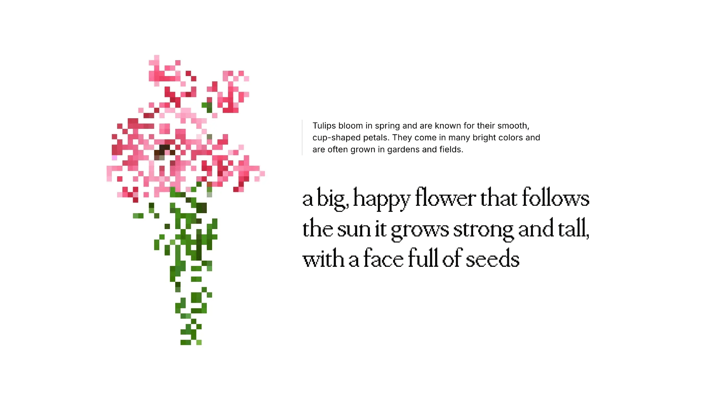 Pixelated flowers with tulip and sunflower descriptions text