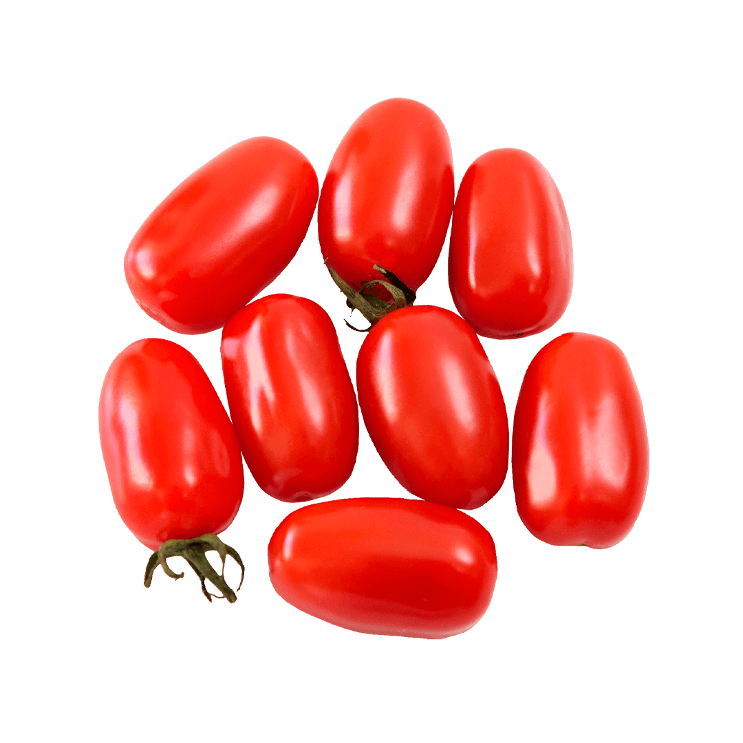 Tomate Híb.Red Sugar