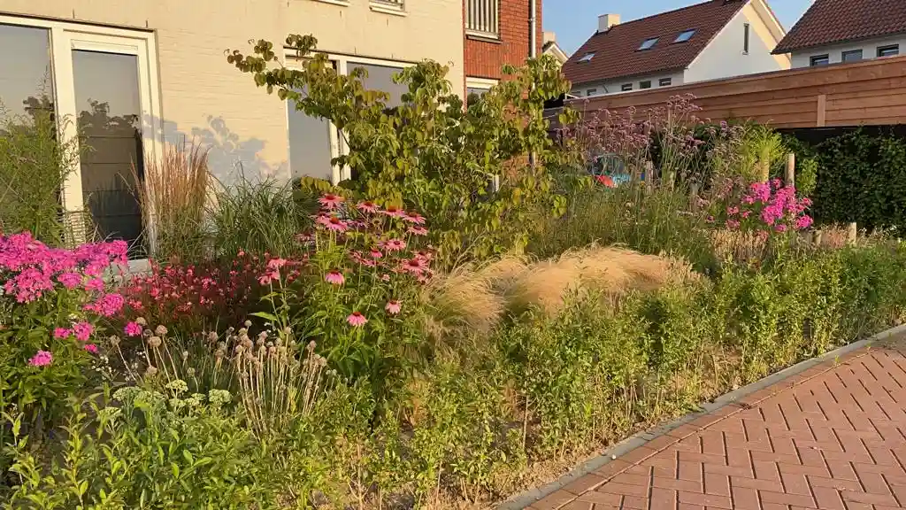 Borderverzorging in Katwijk door Hoveniersbedrijf Star Landscaping