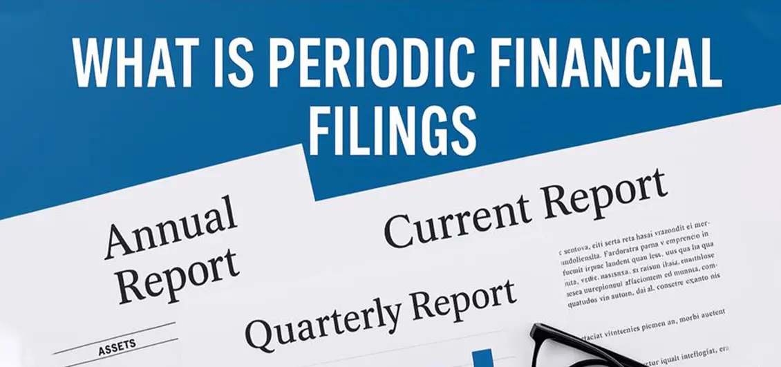 What is Periodic Financial Filings