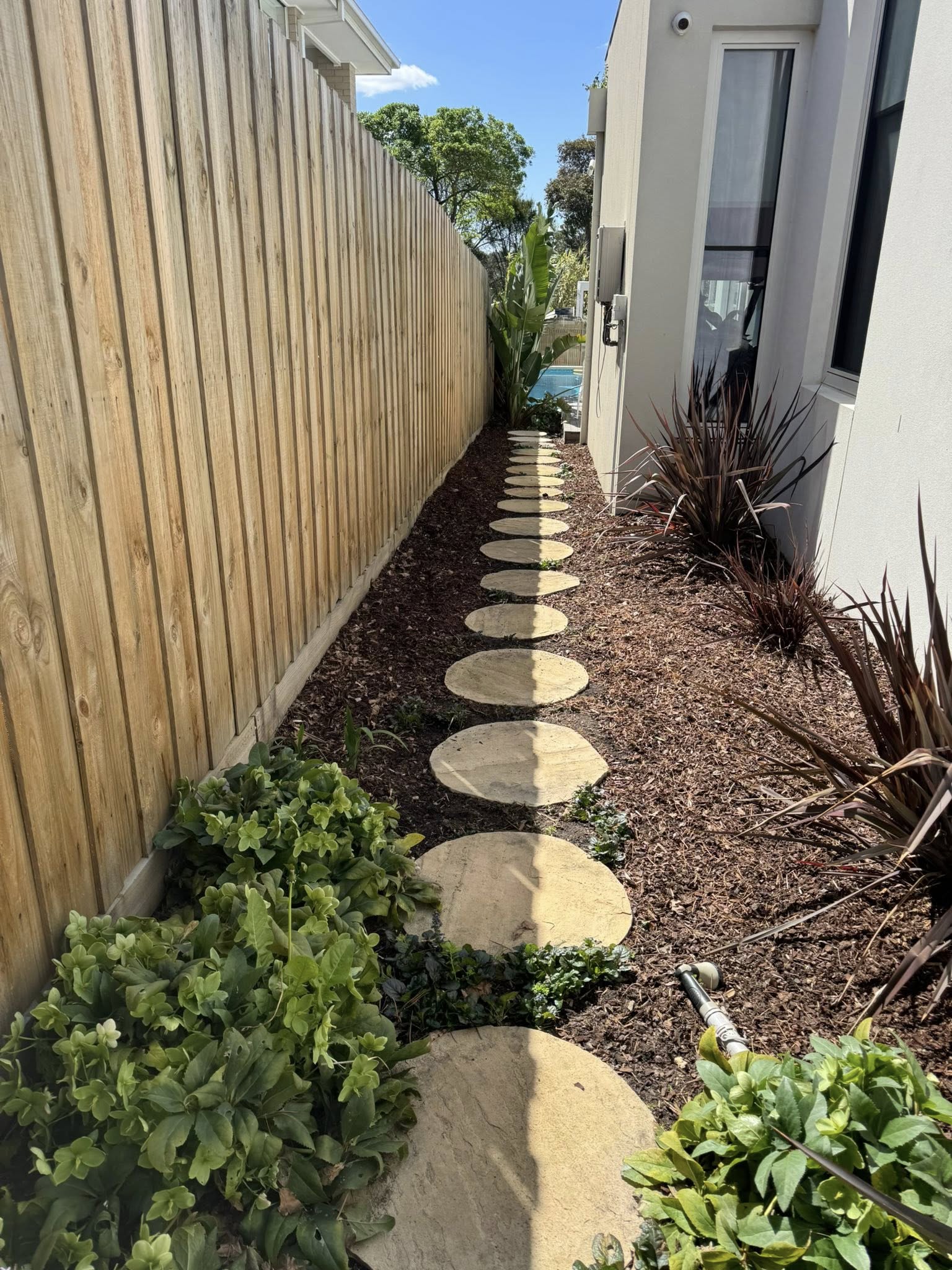 A clean, weed-free stepping stone path and mulched border along a side fence