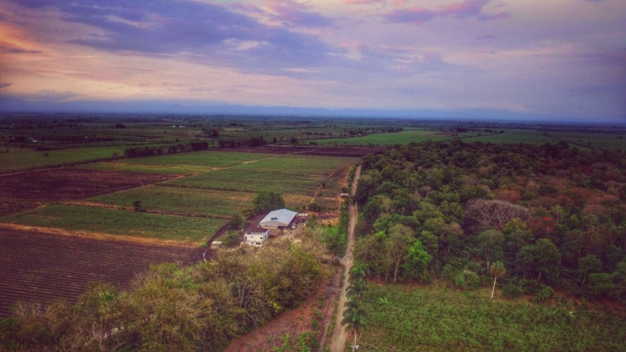 Finca Tierra Negra