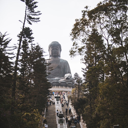 Persone che salgono una lunga scalinata verso una grande statua di Buddha seduto, circondata da alberi alti e vegetazione.