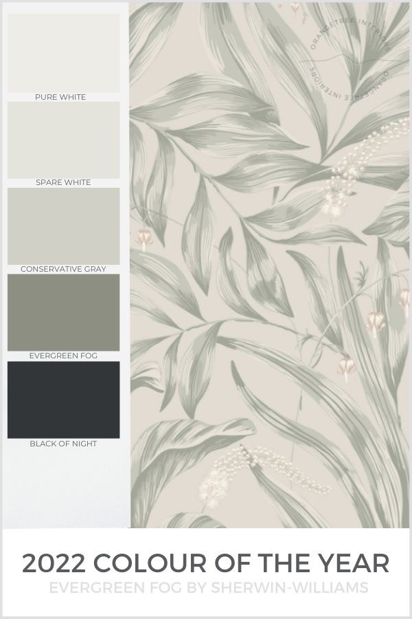 2022 paint colour of the year sherwin williams