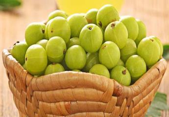 Amla/Gooseberry- A wonder fruit