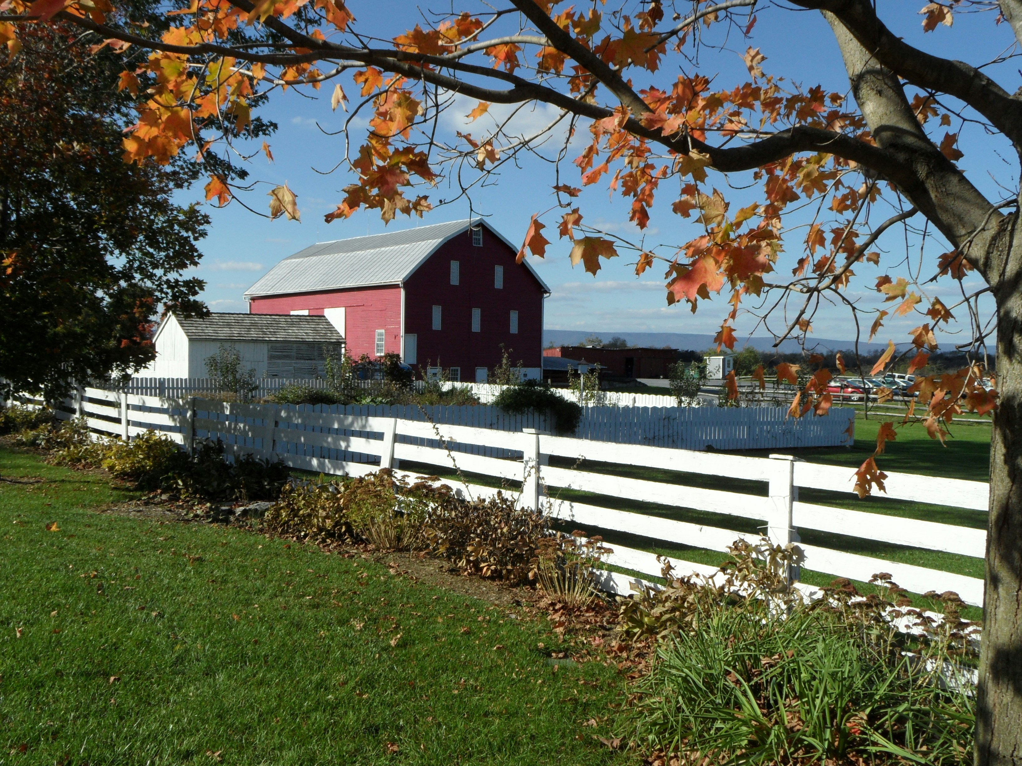 red wooden house
