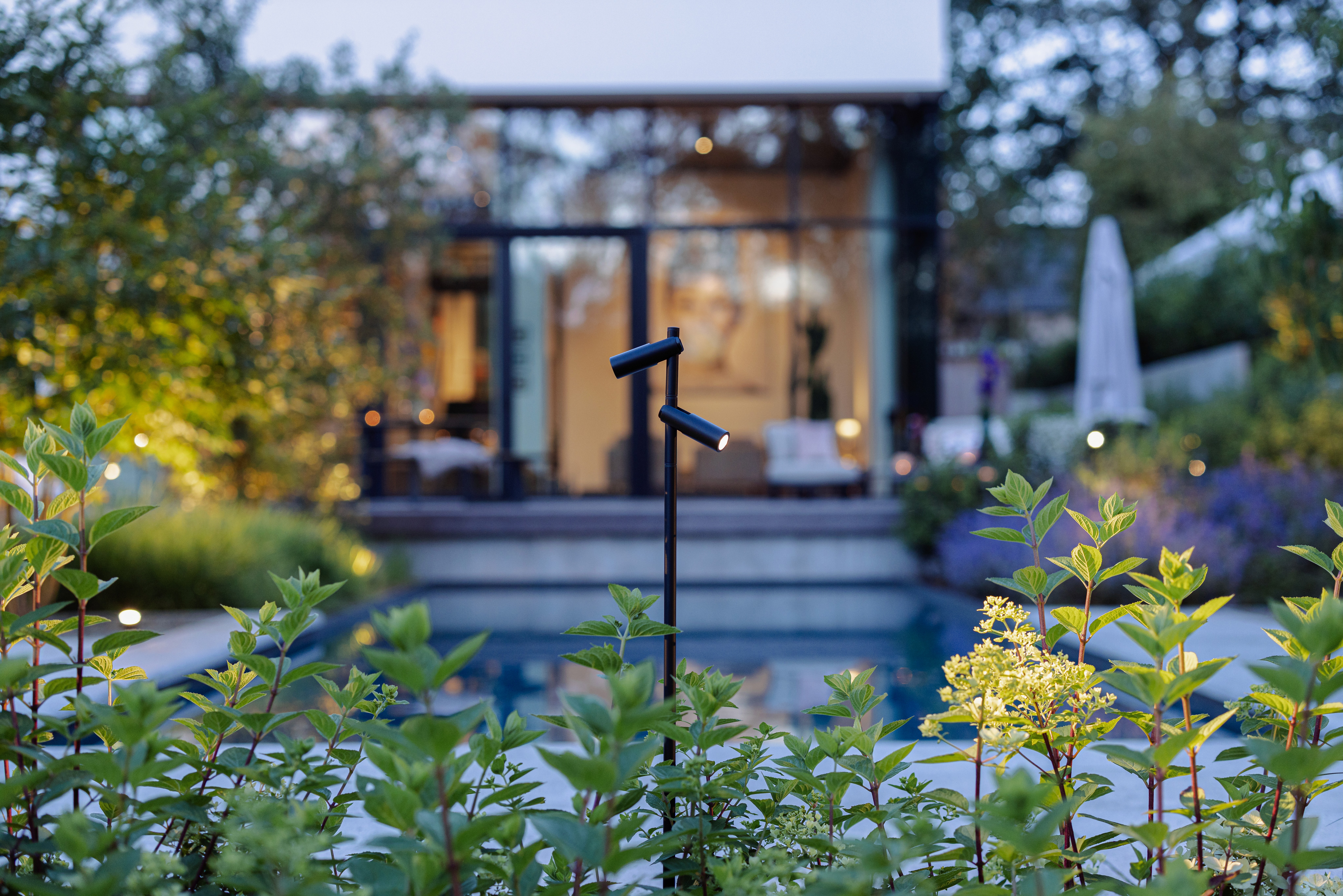 Here comes the alt text