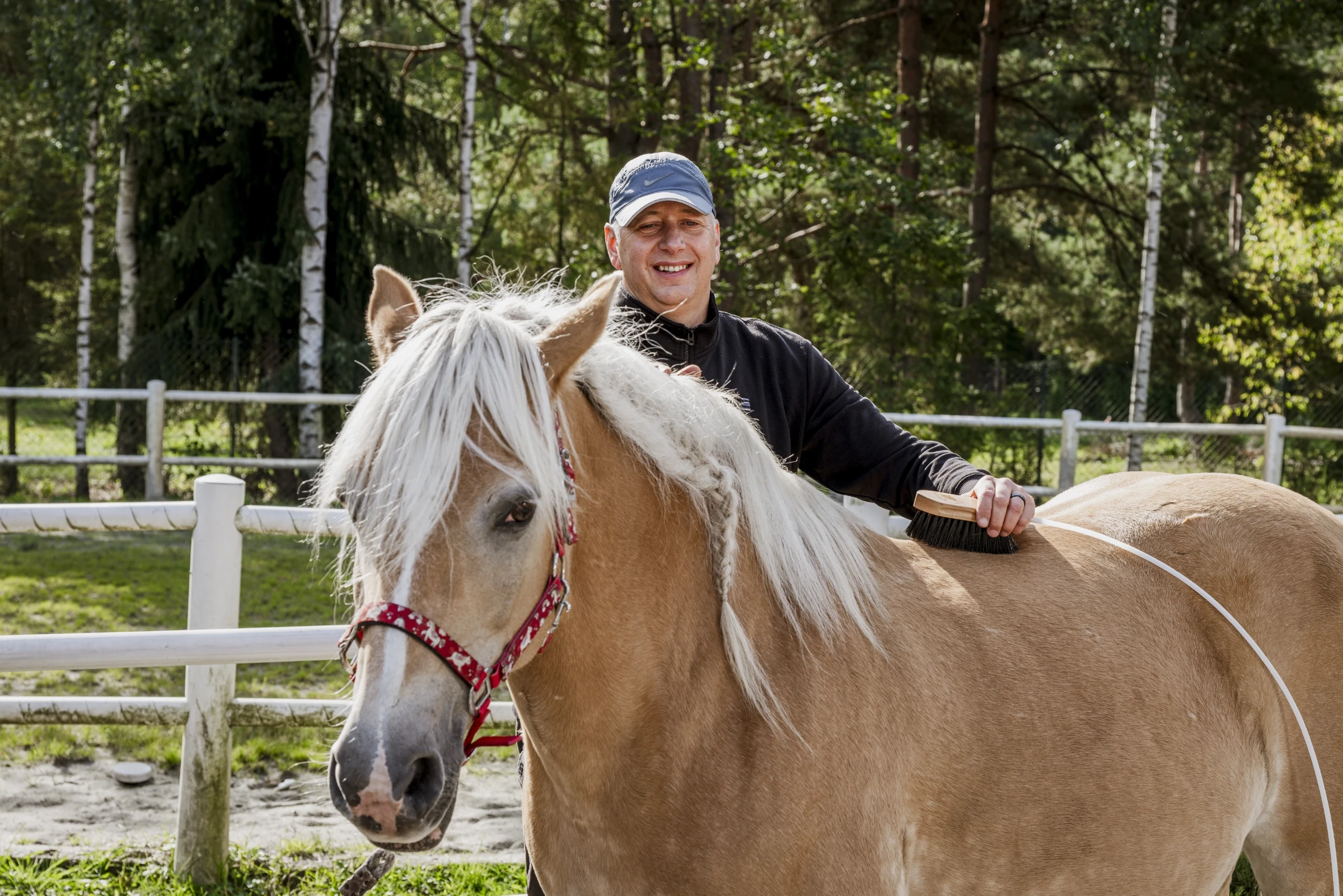 Fotografia wizerunkowa HorseLab – terapia ozonowa koni w praktyce