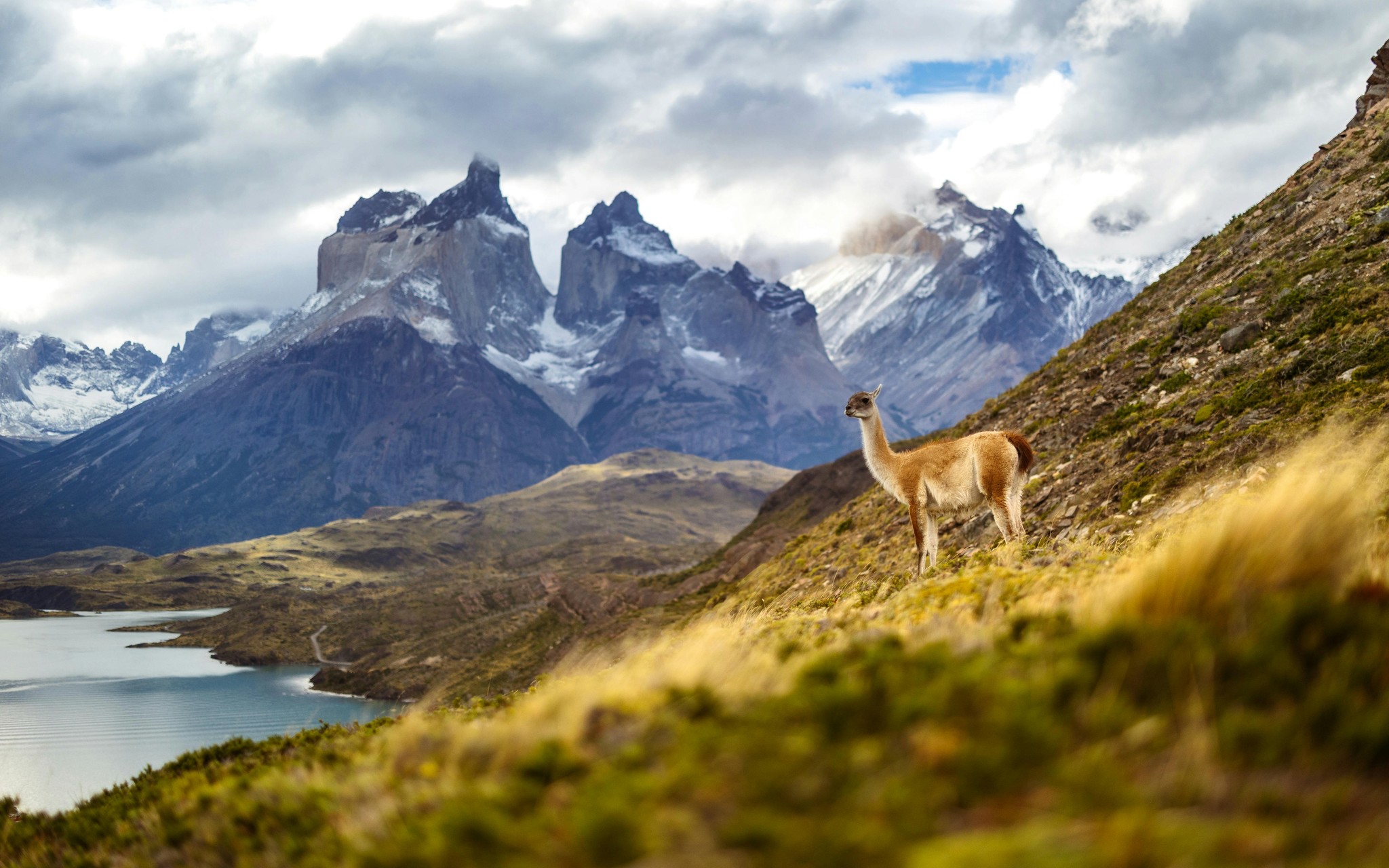 Patagonia Hiking for 3 Months: The Ultimate Patagonia Adventure Guide for Remote Workers