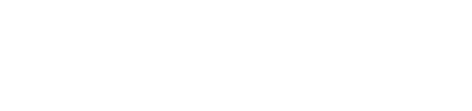 Liia Arslanova signature