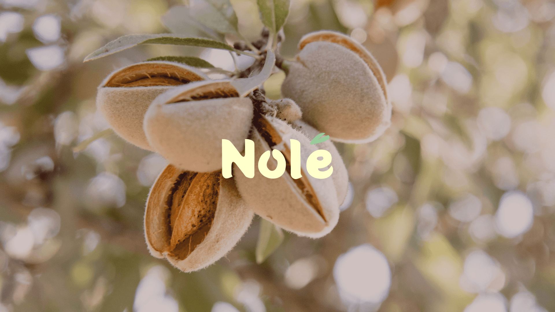Nole
