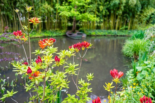 Monet’s lily pond in Giverny, framed by vibrant flowers and bamboo, where nature and art merge into a timeless sanctuary of peace.