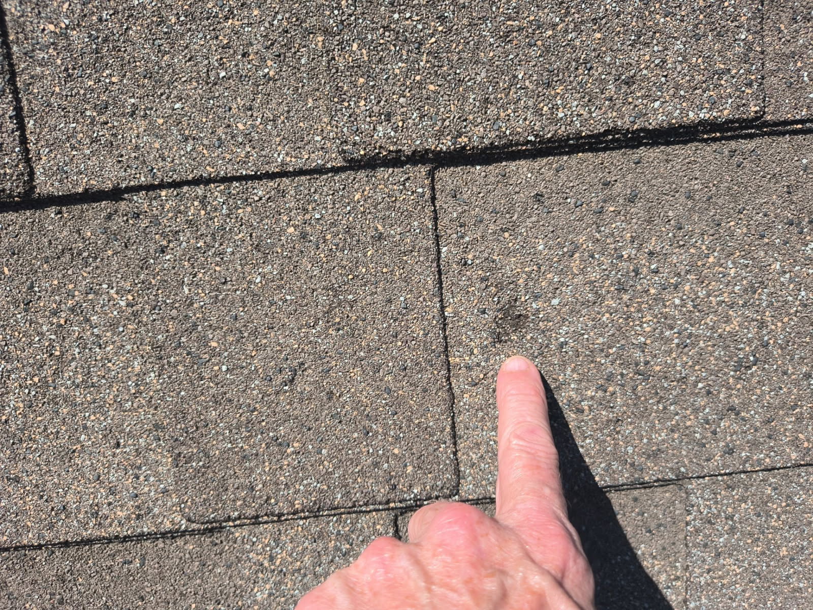 Arrington Roofing inspector documenting hail damage on a Dallas asphalt shingle roof