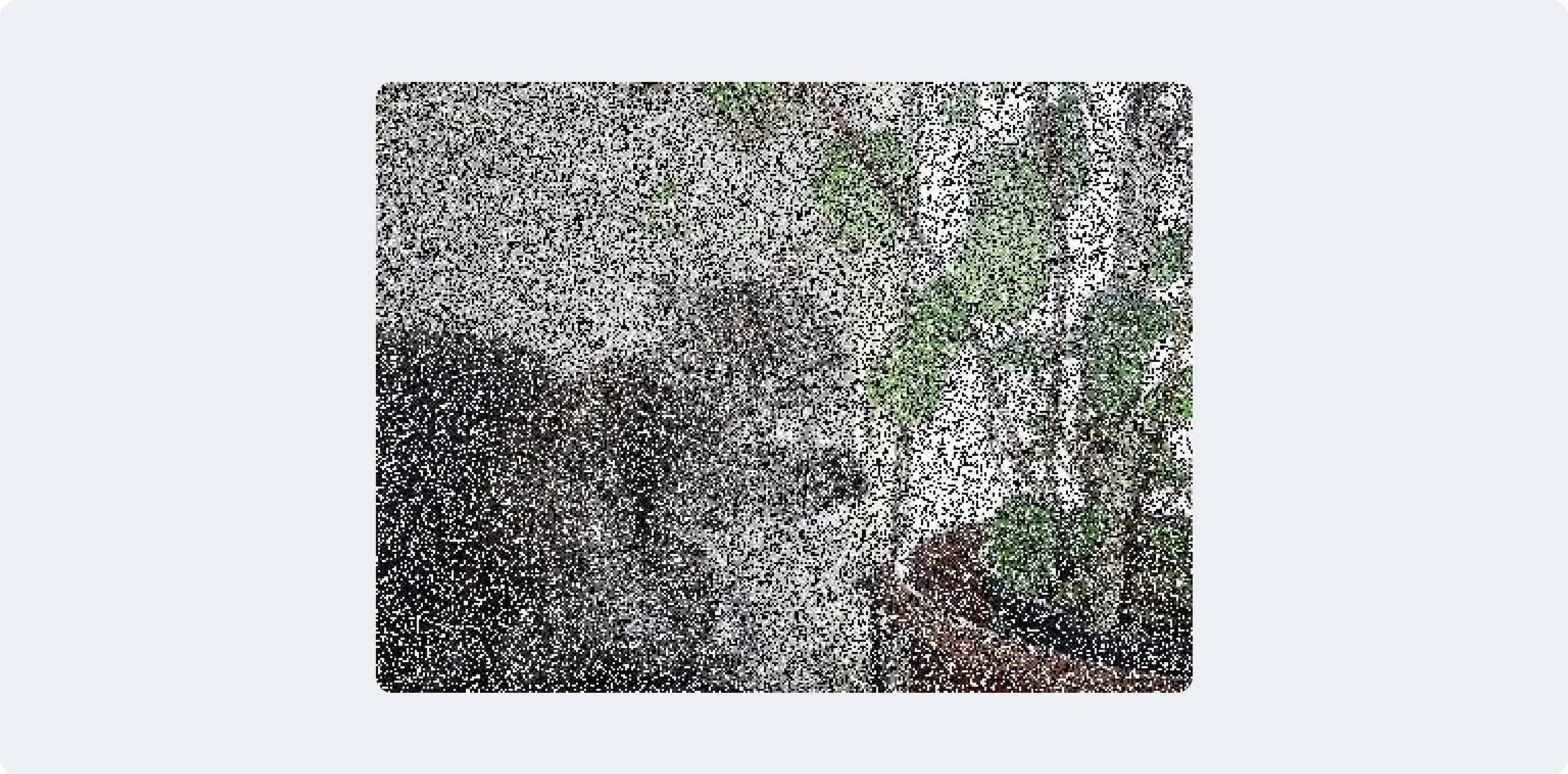 Example of image with salt-and-pepper noise with p=0.6 (cat)