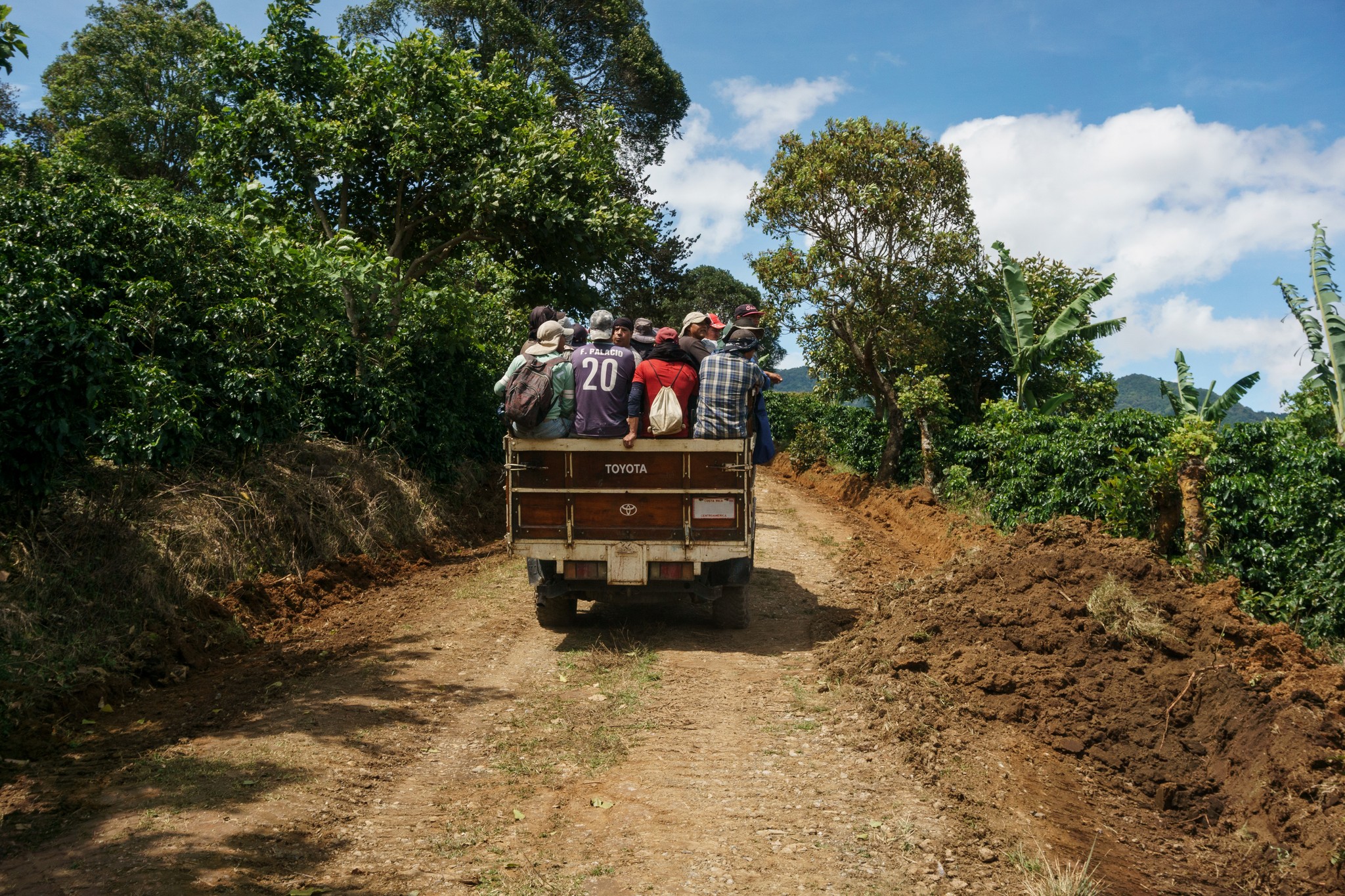 A group of people ride in the back of a small Toyota truck along a dirt road surrounded by lush greenery. The road cuts through a rural landscape with banana trees, coffee plants, and distant hills under a sunny, blue sky. The group appears to be headed toward or from agricultural work or a community project.