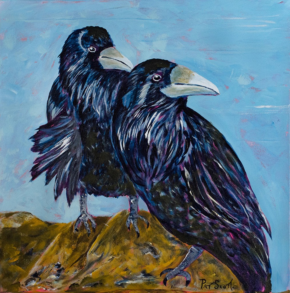 Two perched ravens stand near each other, looking in the same direction focus their attention to a distraction taking place elsewhere.