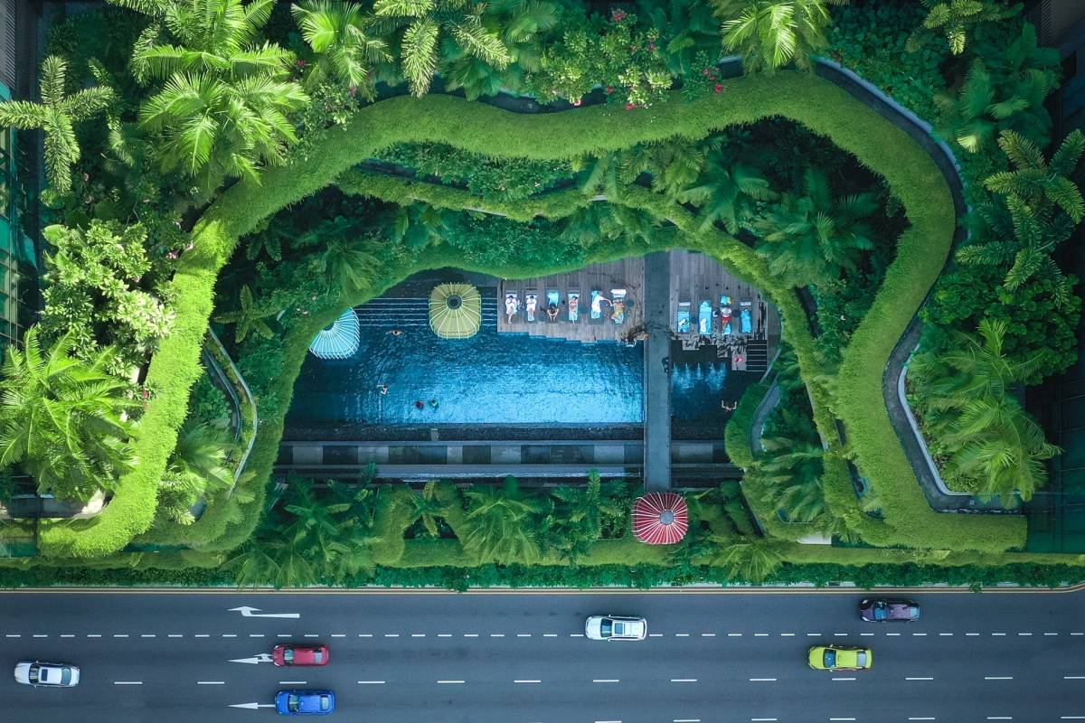 brown and white temple surrounded by green trees during daytime