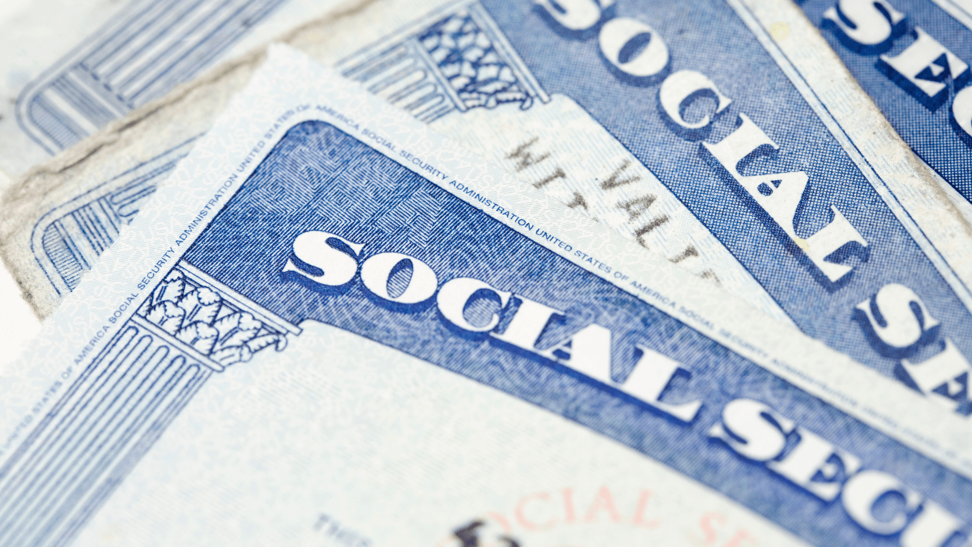 Did Hackers Steal Every Social Security Number? Here's What To Do. -  National Cybersecurity Alliance