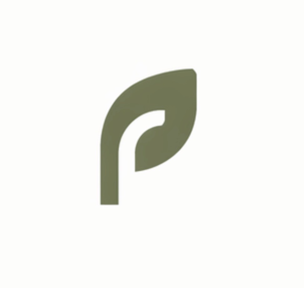 Dazzle Logo Creation