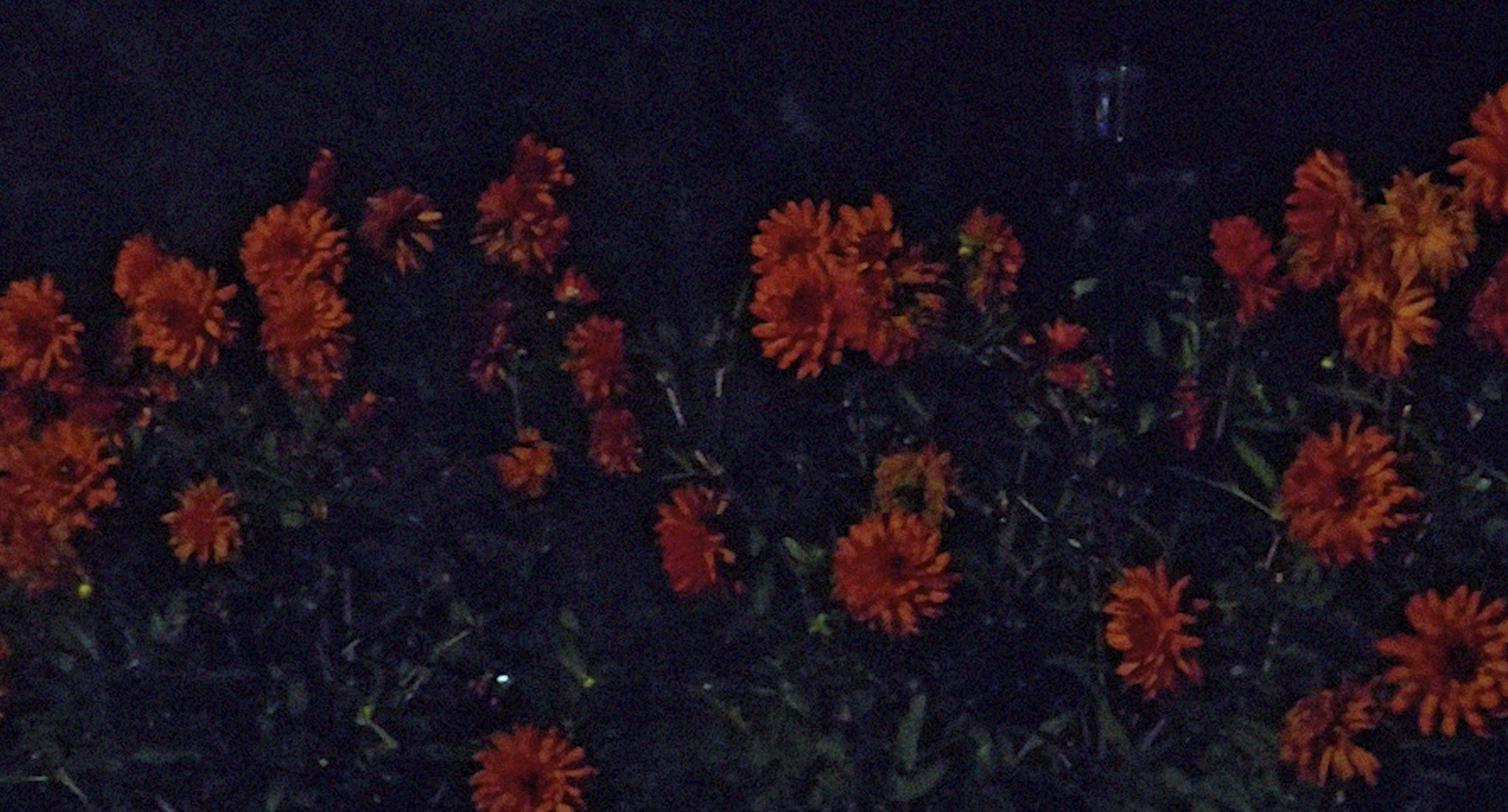 Humble Cottage (험블 코티지), 2023–2025  Single-channel, 4K video, sound, black and white / 싱글 채널, 4K 비디오, 사운드, 흑백  Edition 2/5 + 2 AP / 에디션 2/5 + AP 2점  Duration: 5:37 / 러닝타임: 5분 37초