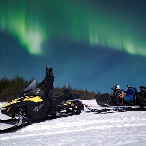 Northern Lights Sleigh Ride with Lappish BBQ