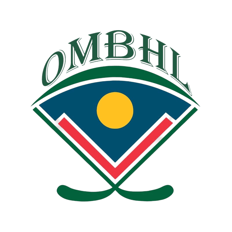 A TeamLinkt Sports League Partner Logo