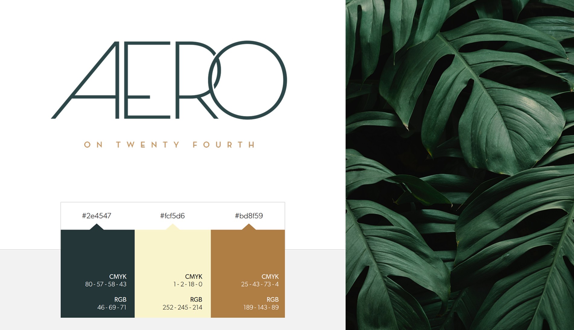 Luma & Leaf Work Sample