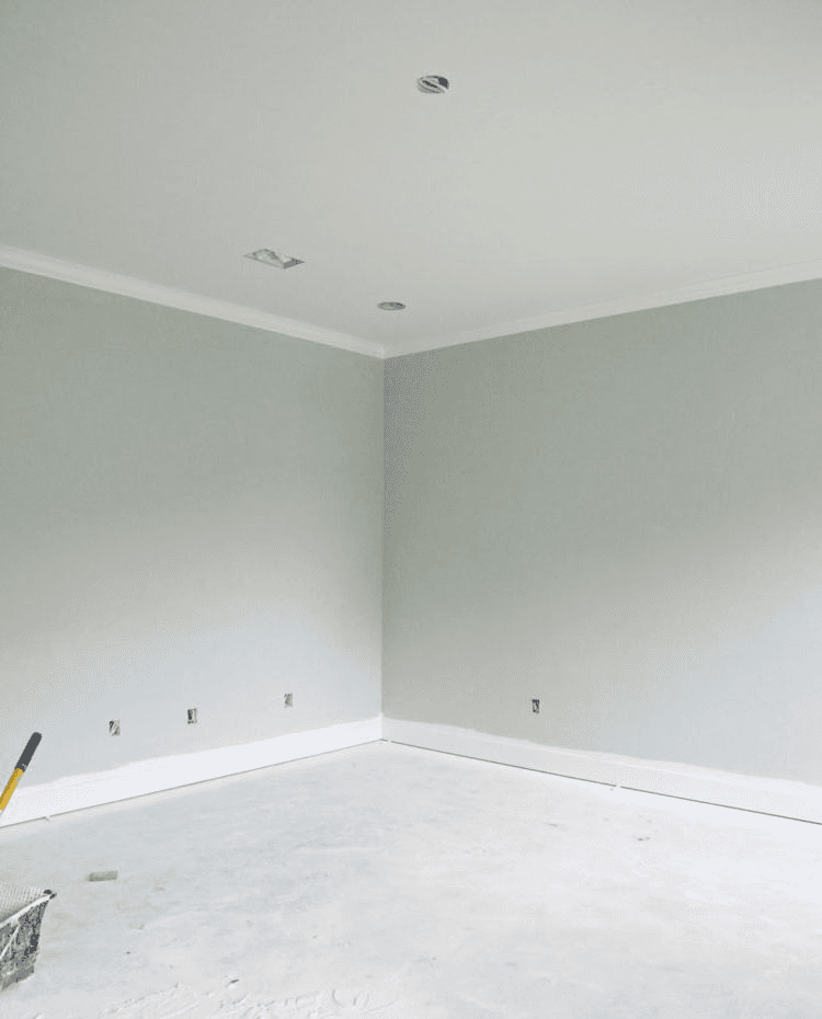 Ceiling and wall painting