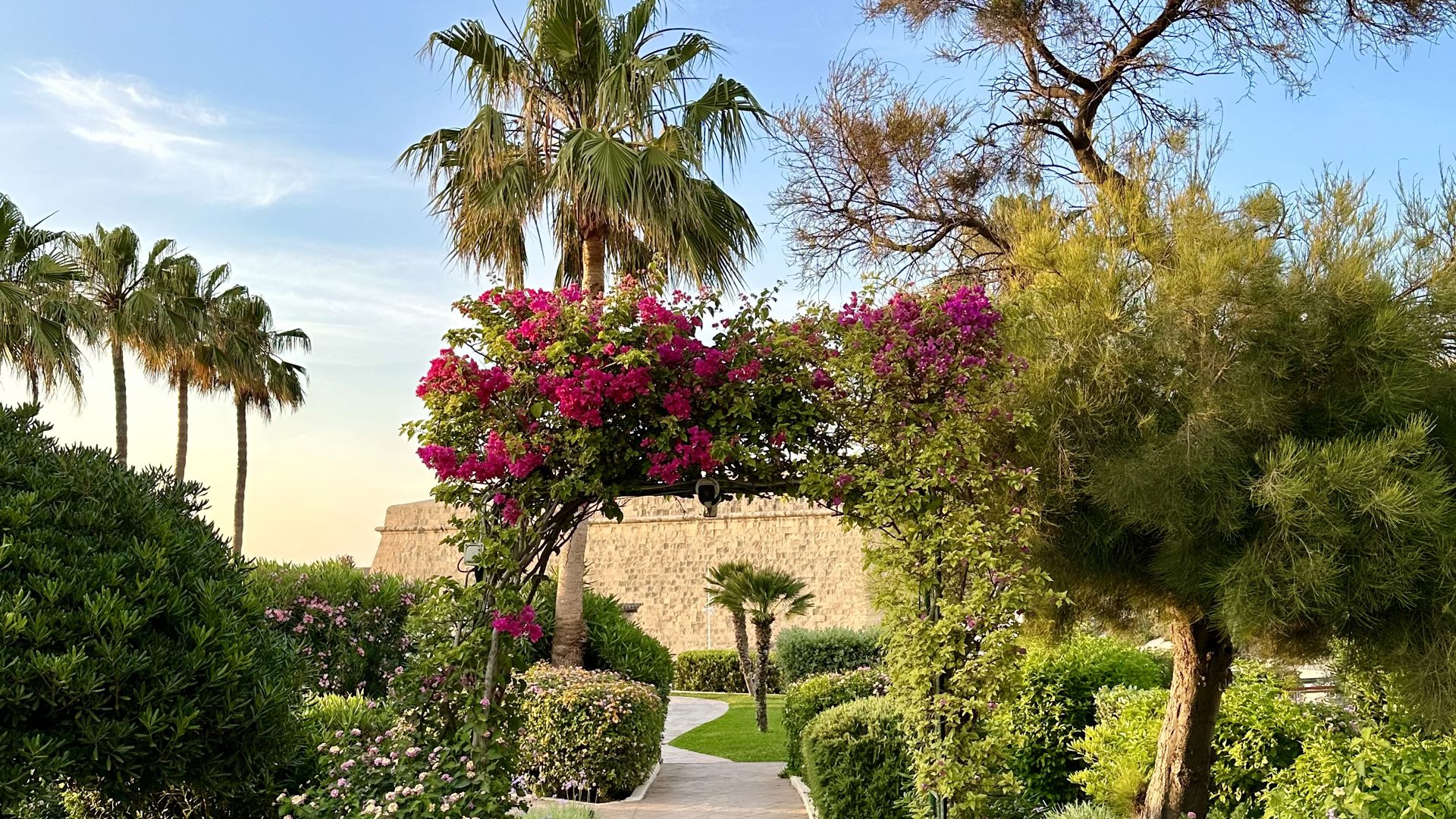 Schöne Gartenlandschaft mit Palmen, blühenden Büschen und einem Pfad an einem sonnigen Tag.