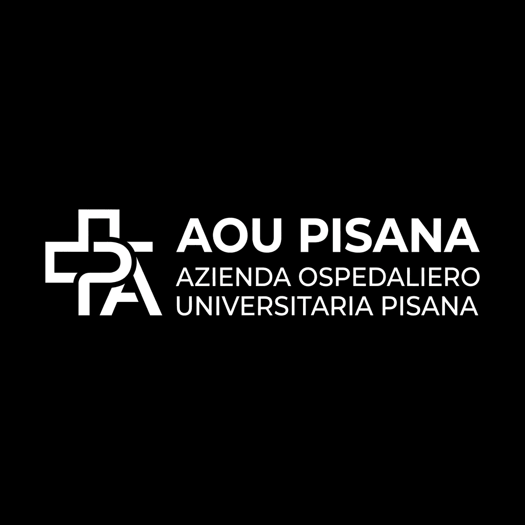 Logo aou-pisana
