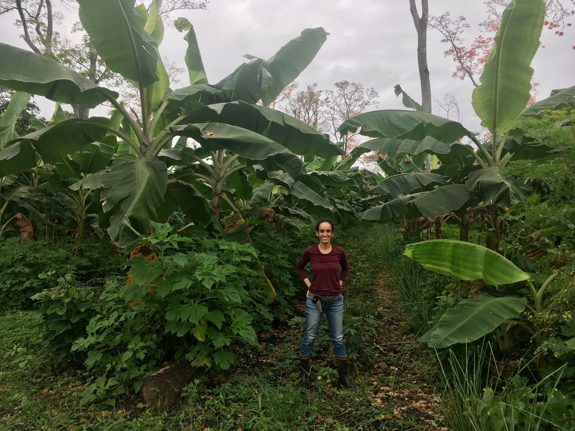 Finca Tierra Negra 2