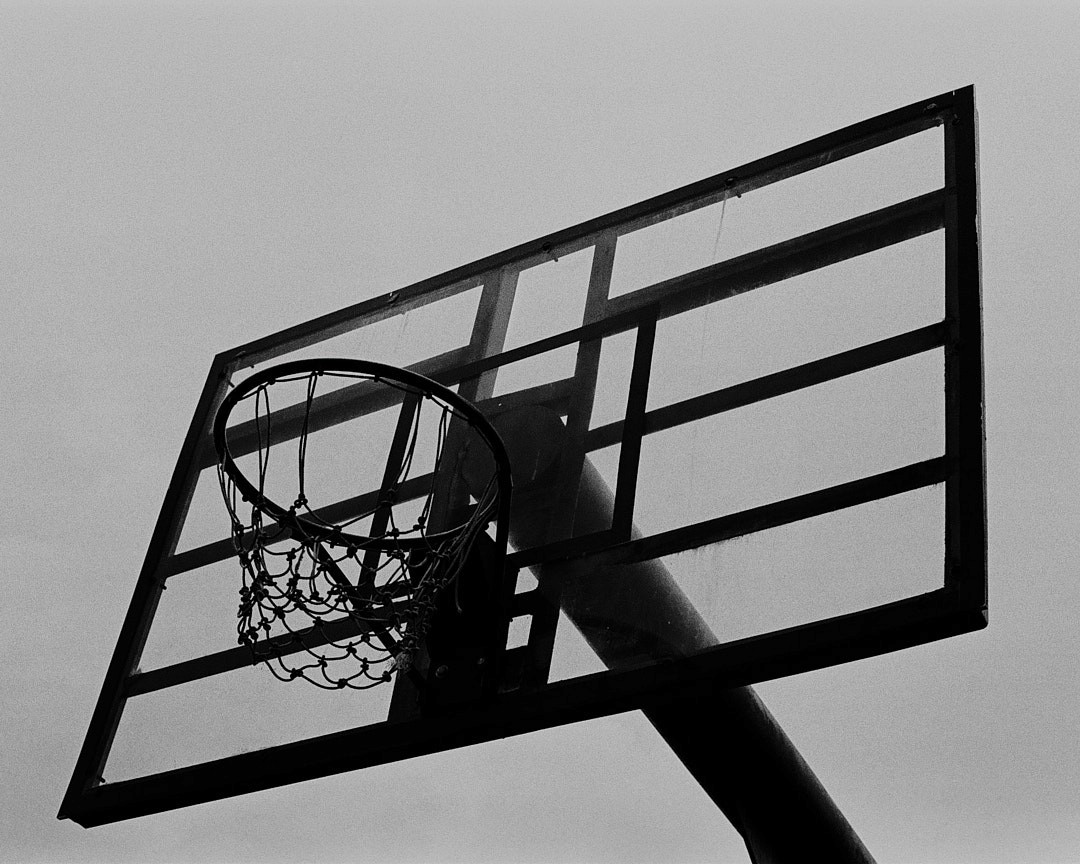 local seo guide for businesses