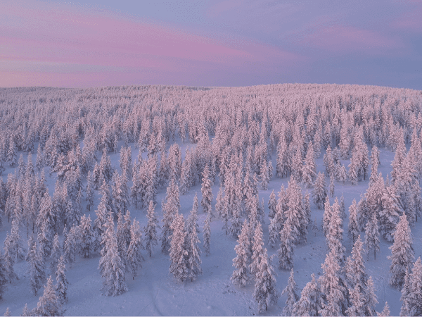 Lapin materiaalipankki | Aurora Powertrains