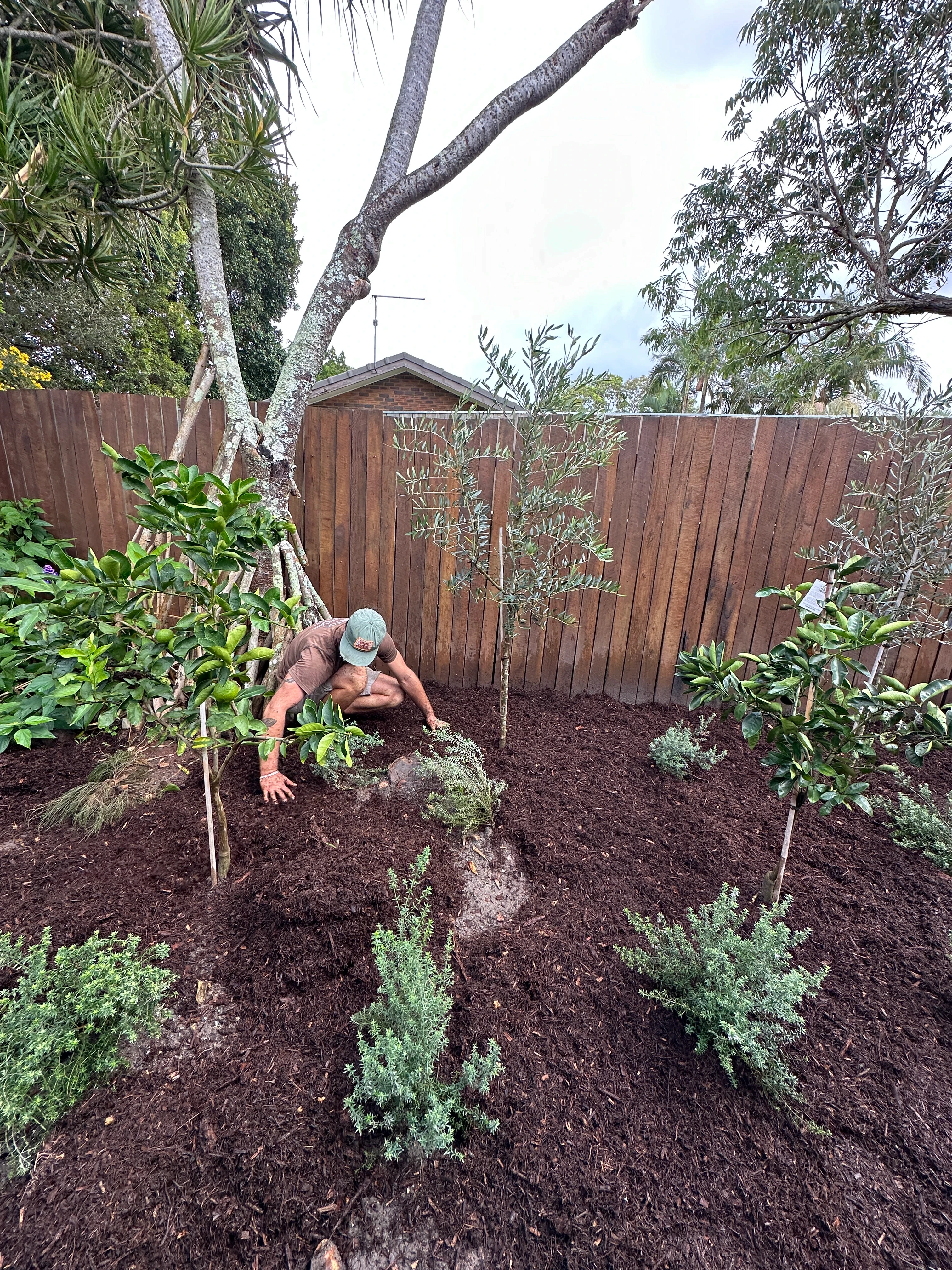 Garden clean up and planting project completed in Byron Bay