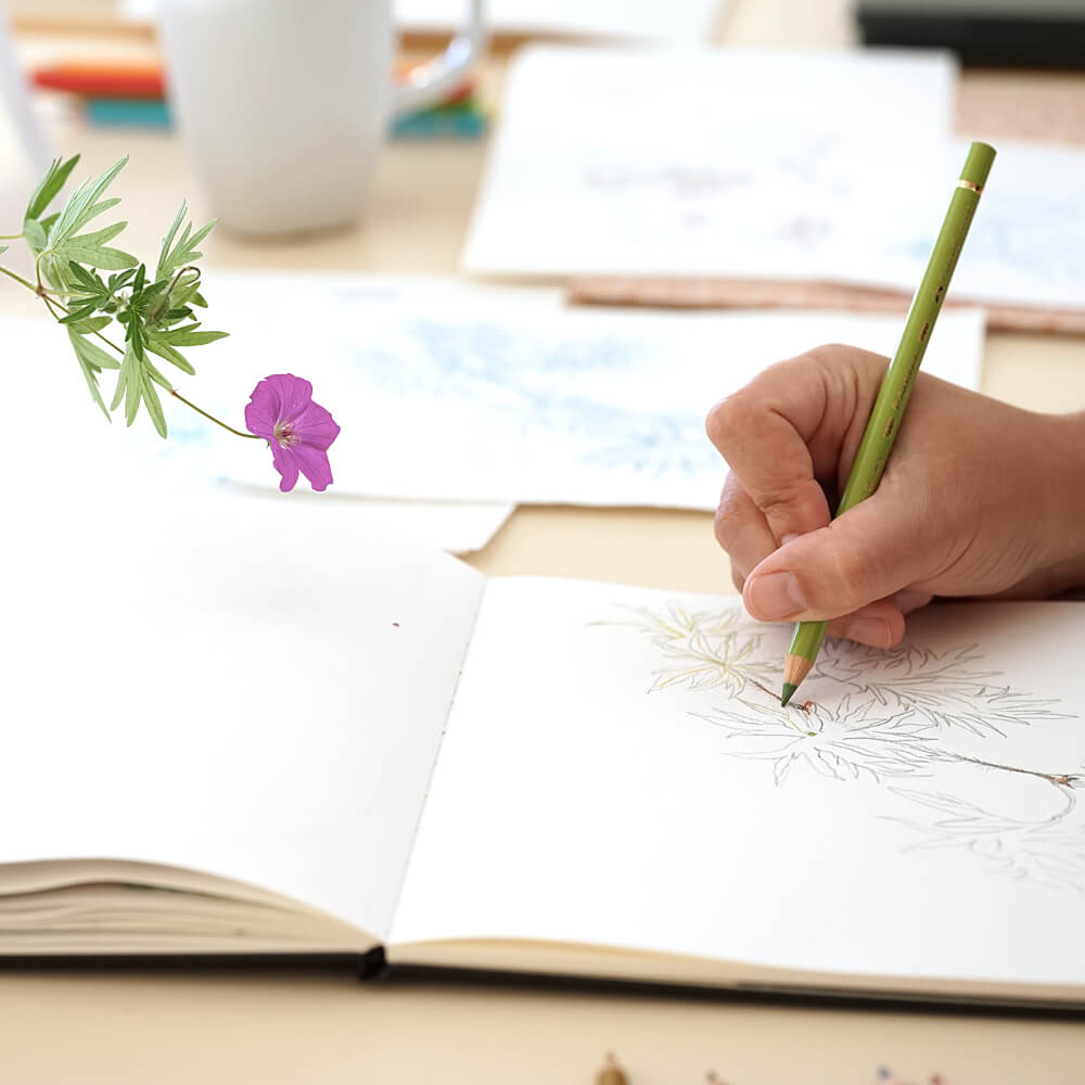 Foto Closeup von zeichnender Hand 