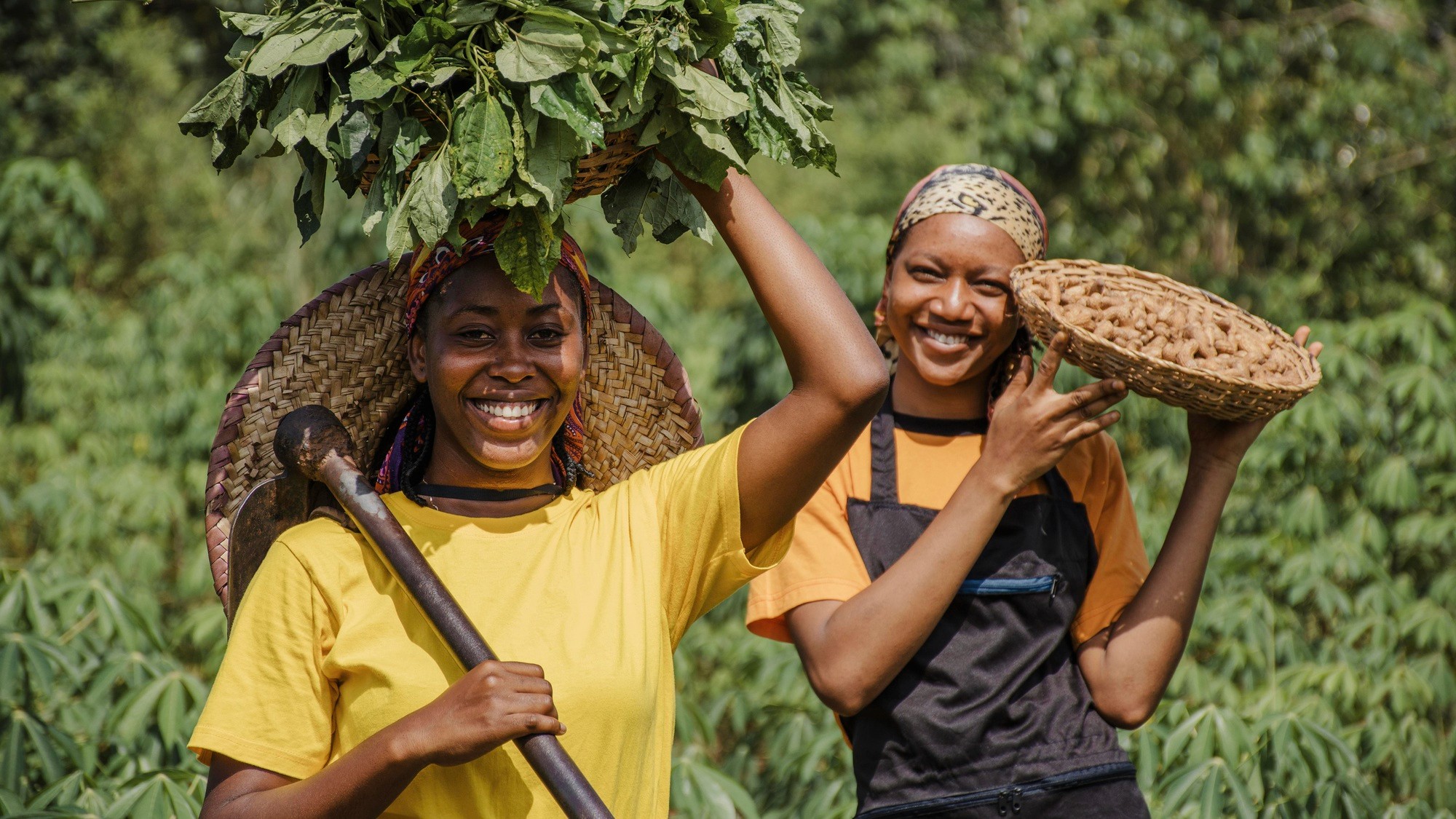 women with farm harvest