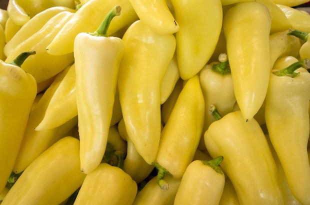 two people looking at a tablet and smiling