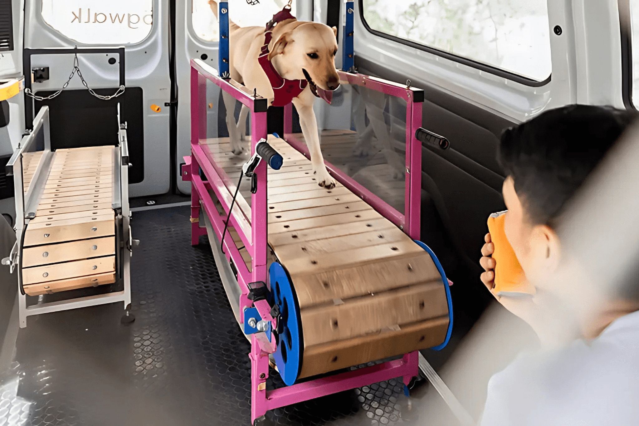 A dog is walking in a treadmill inside a mobile van. An instructor is watching the dog closely.