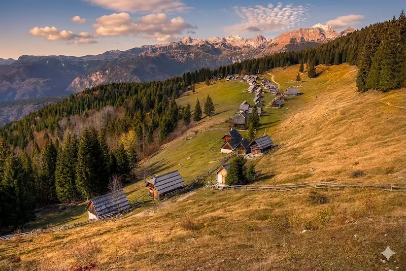 An evening view over Planina Zajamniki on Pokljuka Plateau in Slovenia