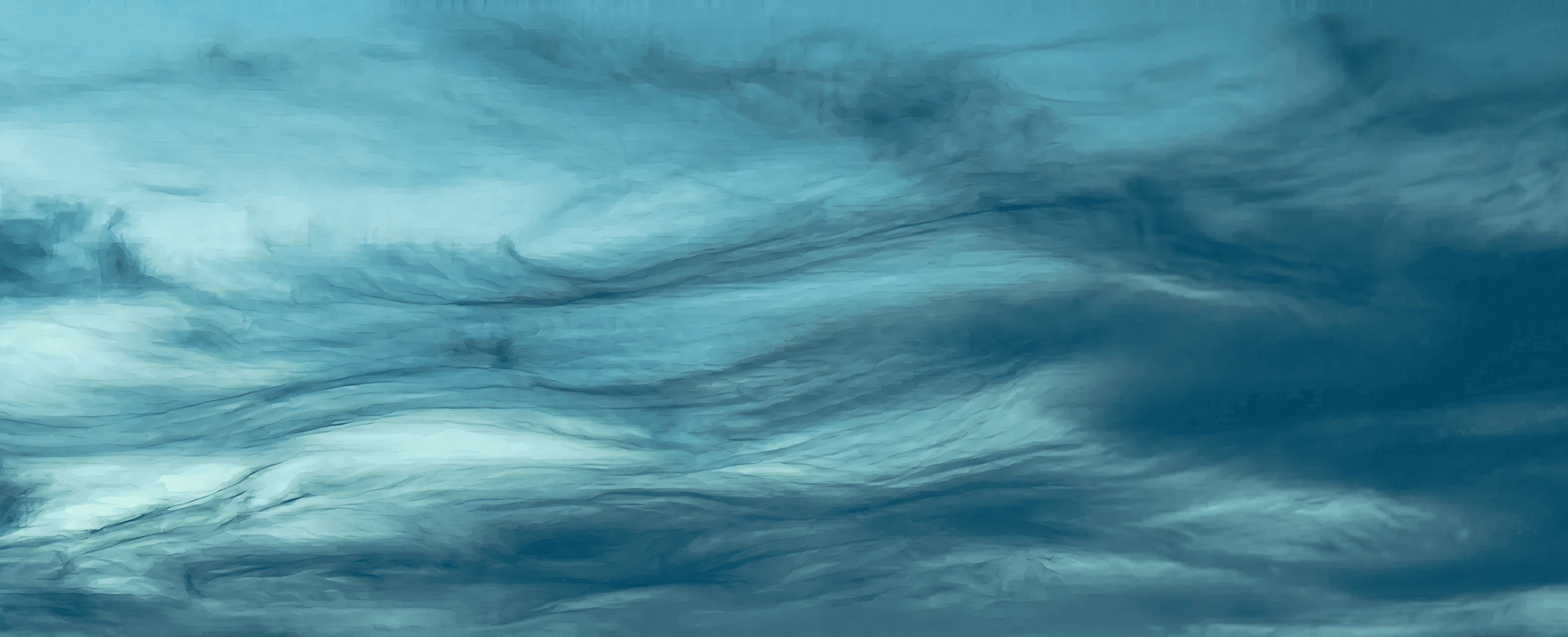 aerial view of green trees and road during daytime