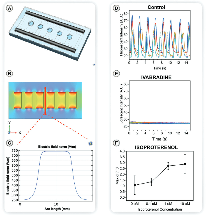 Picture from article