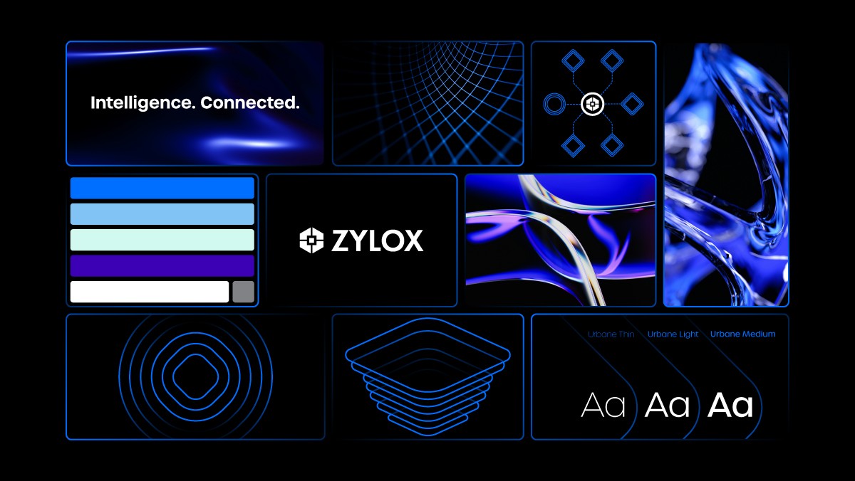 Zylox Image 4