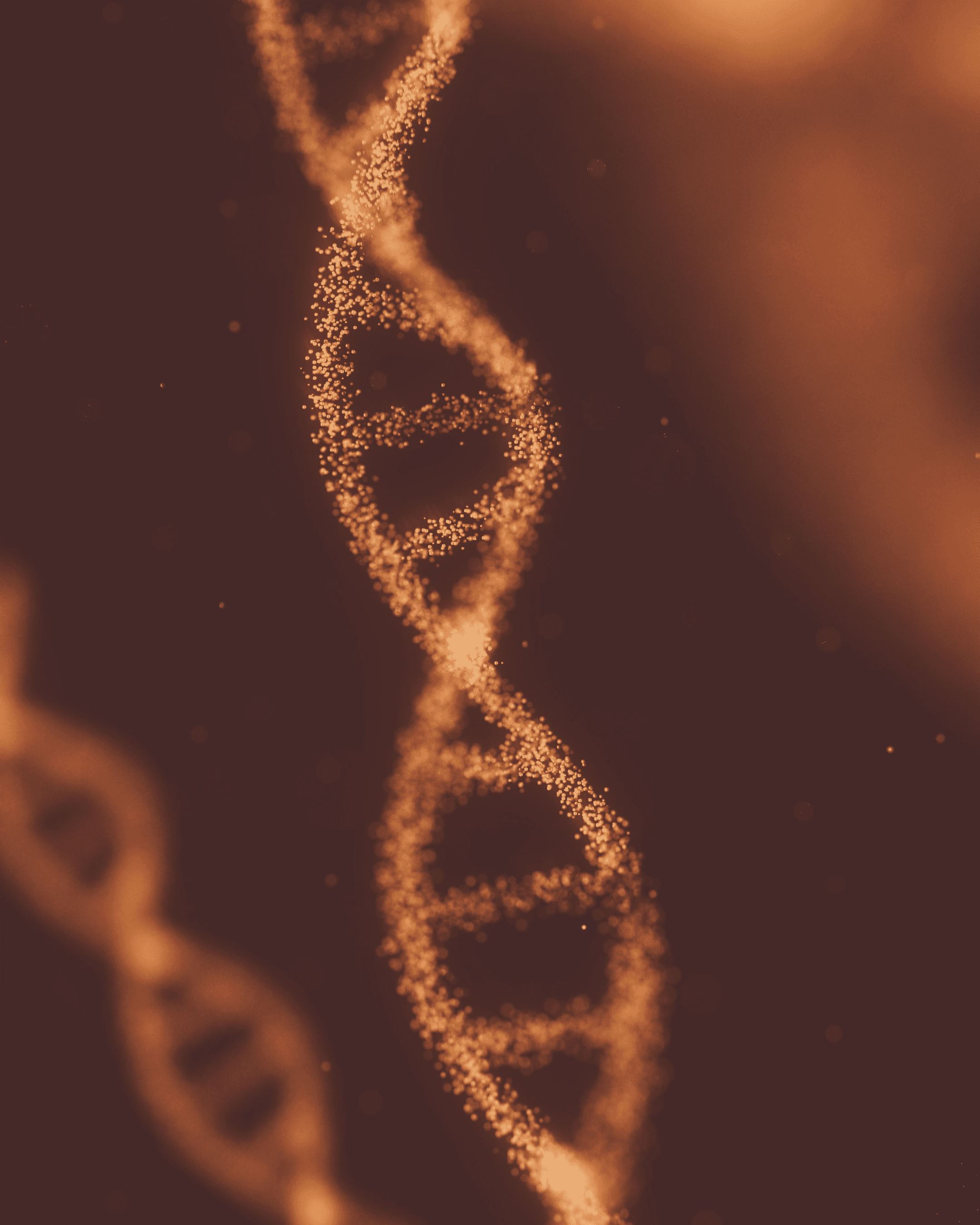 DNA Zoom Shot