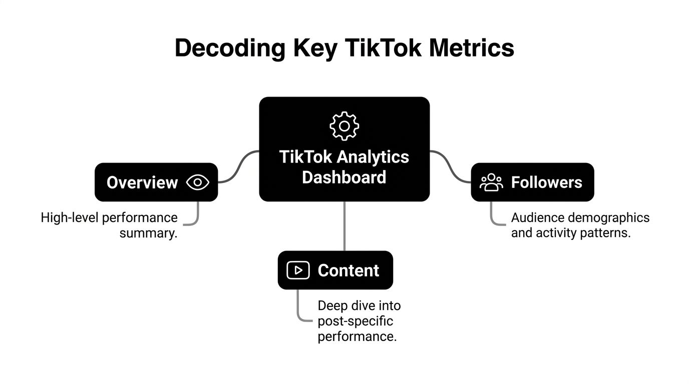 A diagram outlining the key sections of the TikTok analytics dashboard: overview, content, and follower data.