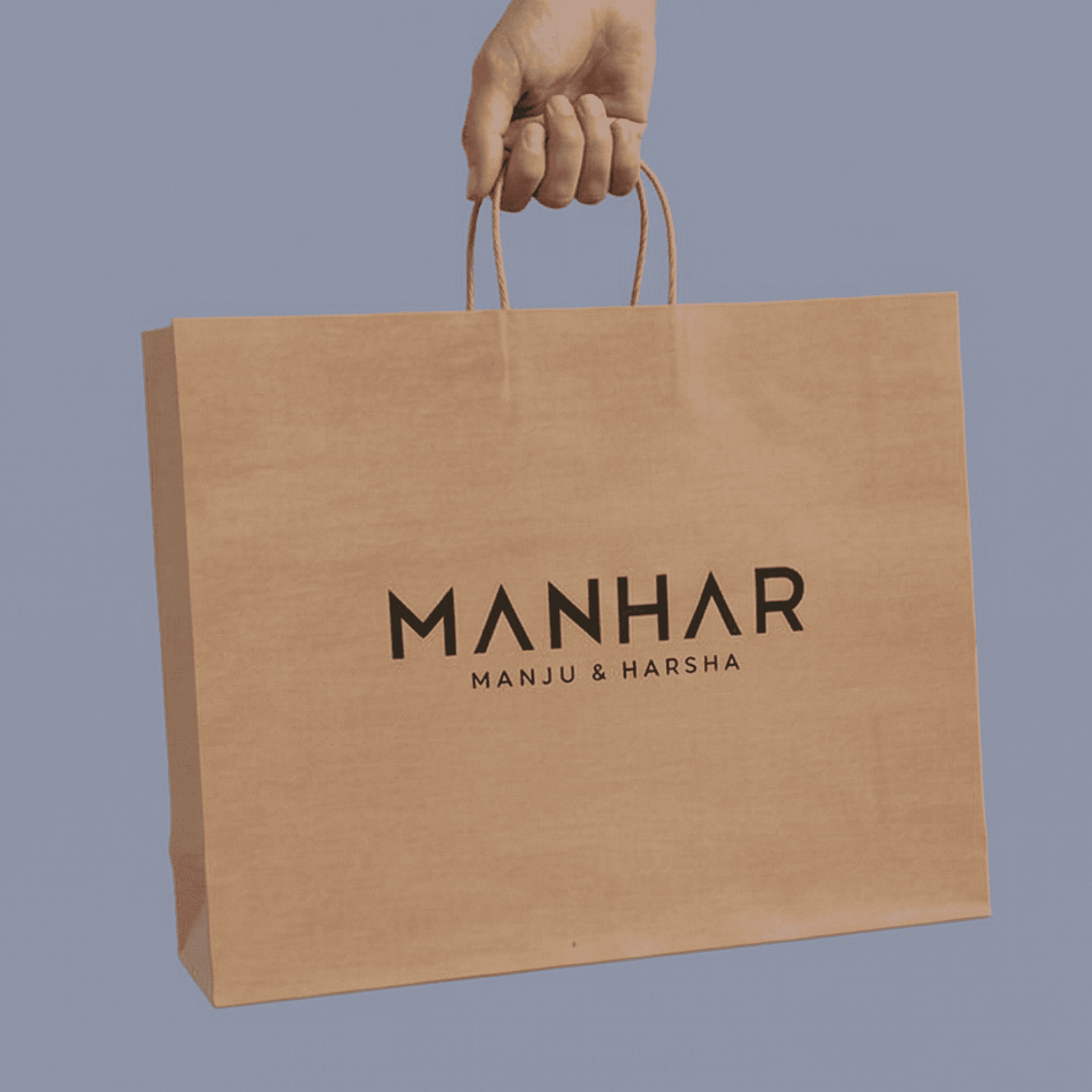 VisualTell Brown Kraft Paper Bags