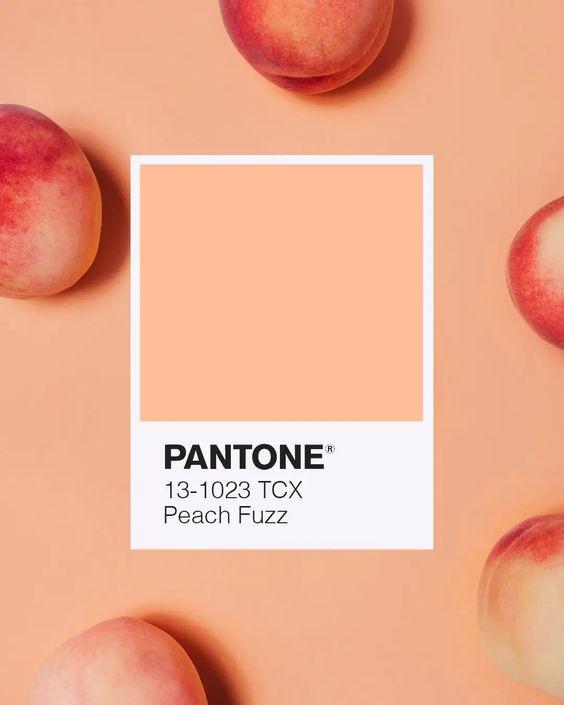Pantone Peach Fuzz color card placed on a peach background with whole peaches around it.
