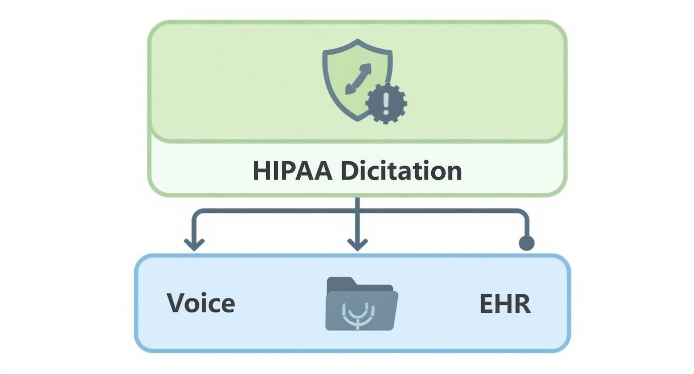 Infographic about hipaa compliant dictation software