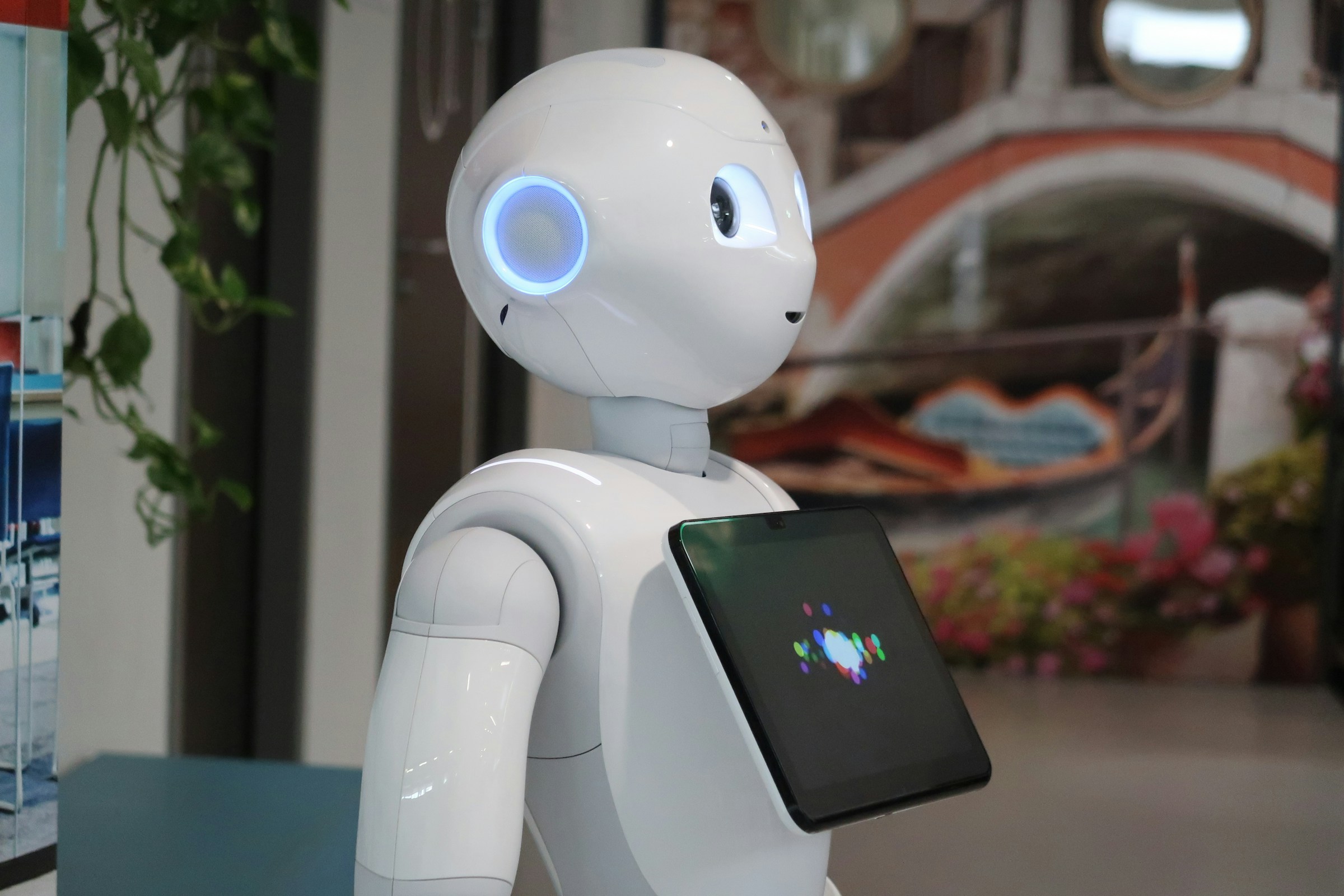 A Robot Giving Services - What Is Warm Transfer